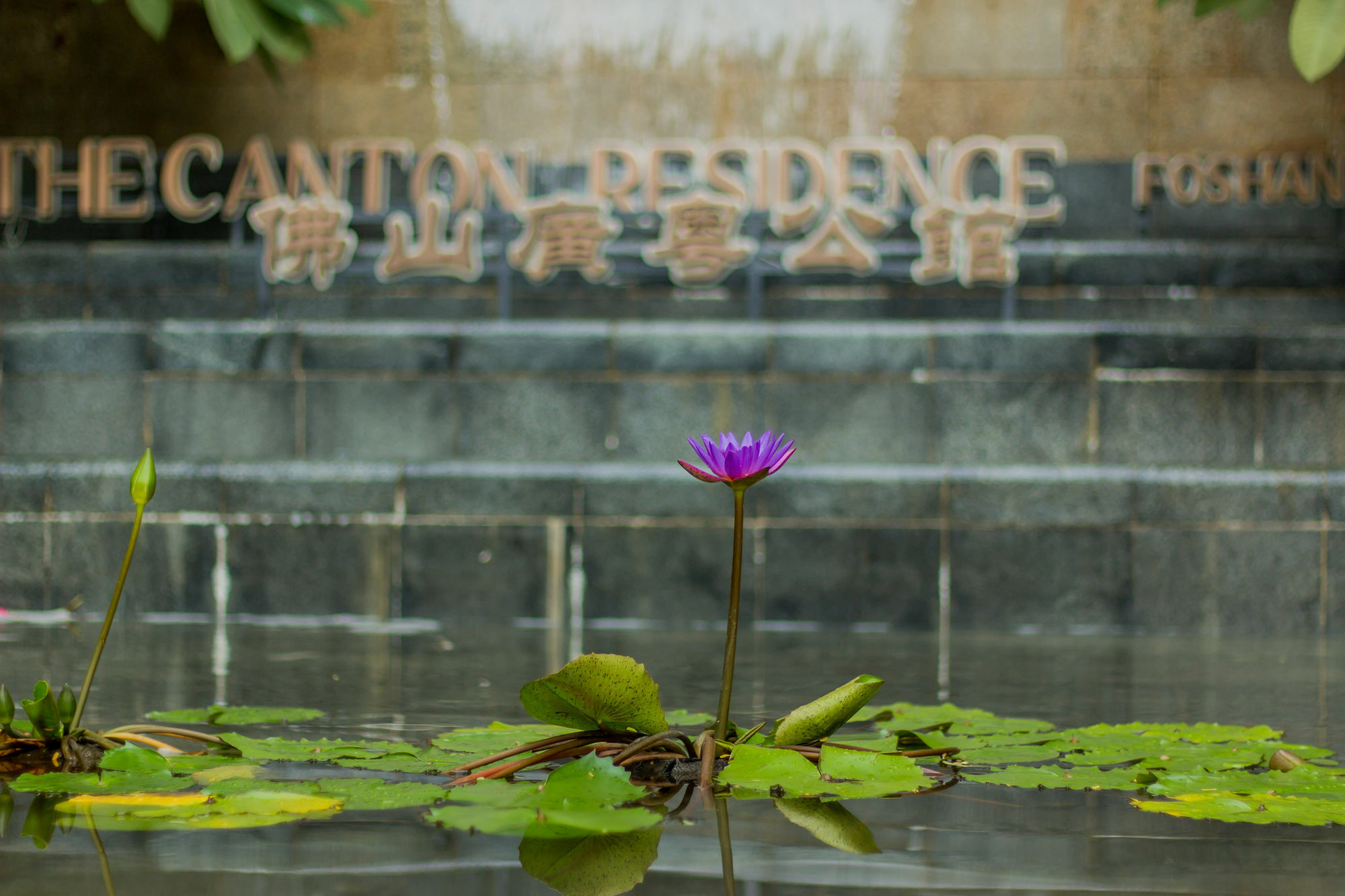 The Canton Residence Foshan Dış mekan fotoğraf