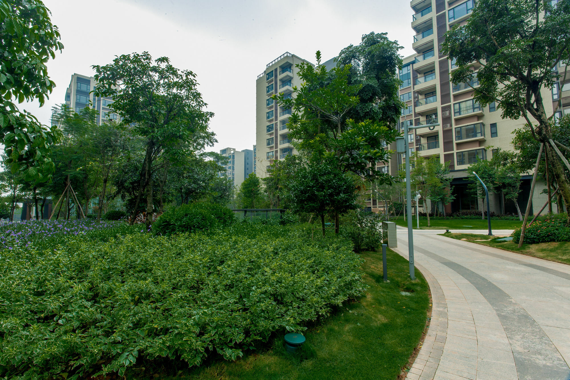 The Canton Residence Foshan Dış mekan fotoğraf
